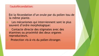 l'autofécondation:
Est la fécondation d’un ovule par du pollen issu de
la même plante.
 Les mécanismes qui interviennent sont le plus
souvent d’ordre morphologique:
 Contacte directe des stigmates avec des
étamines ou proximité des deux organes
reproducteurs.
 Protection vis-à-vis du pollen étranger.
 