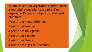  La multiplication végétative consiste donc
à reproduire une plante à partir d’un
organe de l’appareil végétatif, elle peut
être faite :
 A partir des tiges aériennes
 A partir des feuilles
 A partir des bourgeons
 A partir des racines
 A partir des fleurs
 A partir des tiges souterraines
 