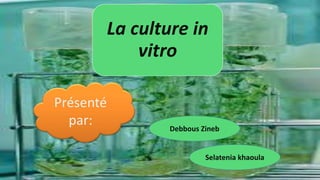 La culture in
vitro
Debbous Zineb
Selatenia khaoula
 