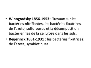 • Winogradsky 1856-1953 : Travaux sur les
bactéries nitrifiantes, les bactéries fixatrices
de l’azote, sulfureuses et la décomposition
bactériennes de la cellulose dans les sols.
• Beijerinck 1851-1931 : les bactéries fixatrices
de l’azote, symbiotiques.
 