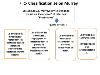 En 1968, R.G.E. Murraye divise le monde
vivant en Eucaryotae" et celui des
"Procaryotae"
La division des
"Gracilicutes"
regroupant les
bactéries dont la
paroi a la
structure des
bactéries à Gram
négatif.
. La division des
"Firmicutes".
regroupant les
bactéries dont la
paroi a la
structure des
bactéries à Gram
positif.
. La division des
"Tenericutes"
rassemblant les
bactéries
dépourvues de
paroi.
La division des
"Mendosicutes
"
correspondant
aux
archaebactérie
s.
• C- Classification selon Murray
quatre divisions :
 