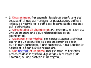 • 1) Deux animaux. Par exemple, les pique-bœufs sont des
oiseaux d'Afrique qui mangent les parasites des buffles :
l’oiseau se nourrit, et le buffle est débarrassé des insectes
qui le dérangent.
2) Un végétal et un champignon. Par exemple, le lichen est
une union entre une algue microscopique et un
champignon.
3) Un animal et un végétal. Par exemple, quand elle vient
chercher du nectar, l’abeille peut emporter du pollen
qu’elle transporte jusqu’à une autre fleur. Ainsi, l’abeille se
nourrit et la fleur peut se reproduire.
4) Une bactérie et un animal (par exemple les bactéries
présentes dans le système digestif des herbivores et de
l’homme) ou une bactérie et un végétal…
 