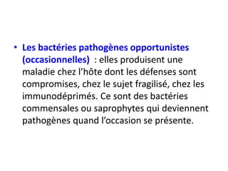 • Les bactéries pathogènes opportunistes
(occasionnelles) : elles produisent une
maladie chez l’hôte dont les défenses sont
compromises, chez le sujet fragilisé, chez les
immunodéprimés. Ce sont des bactéries
commensales ou saprophytes qui deviennent
pathogènes quand l’occasion se présente.
 