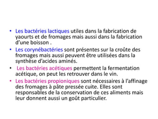 • Les bactéries lactiques utiles dans la fabrication de
yaourts et de fromages mais aussi dans la fabrication
d’une boisson .
• Les corynébactéries sont présentes sur la croûte des
fromages mais aussi peuvent être utilisées dans la
synthèse d’acides aminés.
• Les bactéries acétiques permettent la fermentation
acétique, on peut les retrouver dans le vin.
• Les bactéries propioniques sont nécessaires à l’affinage
des fromages à pâte pressée cuite. Elles sont
responsables de la conservation de ces aliments mais
leur donnent aussi un goût particulier.
 