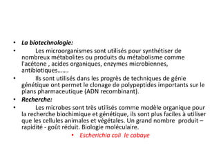• La biotechnologie:
• Les microorganismes sont utilisés pour synthétiser de
nombreux métabolites ou produits du métabolisme comme
l'acétone , acides organiques, enzymes microbiennes,
antibiotiques…….
• Ils sont utilisés dans les progrès de techniques de génie
génétique ont permet le clonage de polypeptides importants sur le
plans pharmaceutique (ADN recombinant).
• Recherche:
• Les microbes sont très utilisés comme modèle organique pour
la recherche biochimique et génétique, ils sont plus faciles à utiliser
que les cellules animales et végétales. Un grand nombre produit –
rapidité - goût réduit. Biologie moléculaire.
• Escherichia coli le cobaye
 