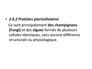 • 2.6.2 Protistes pluricellulaires
Ce sont principalement des champignons
(Fungi) et des algues formés de plusieurs
cellules identiques, sans aucune différence
structurale ou physiologique.
 