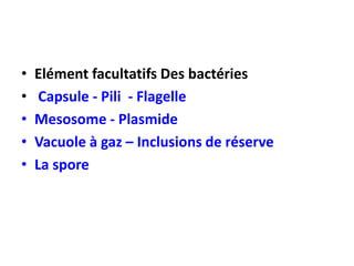 • Elément facultatifs Des bactéries
• Capsule - Pili - Flagelle
• Mesosome - Plasmide
• Vacuole à gaz – Inclusions de réserve
• La spore
 