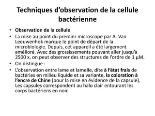 Techniques d’observation de la cellule
bactérienne
• Observation de la cellule
• La mise au point du premier microscope par A. Van
Leeuwenhok marque le point de départ de la
microbiologie. Depuis, cet appareil a été largement
amélioré. Avec des grossissements pouvant aller jusqu’à
2500 x, on peut observer des structures de l’ordre de 1 μM.
• On distingue :
• L’observation entre lame et lamelle, dite à l’état frais de
bactéries en milieu liquide et sa variante, la coloration à
l’encre de Chine (pour la mise en évidence de la capsule).
Les capsules correspondent au halo clair entourant les
corps bactériens en noir.
 
