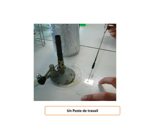 Un Poste de travail
 