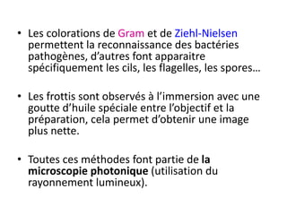 • Les colorations de Gram et de Ziehl-Nielsen
permettent la reconnaissance des bactéries
pathogènes, d’autres font apparaitre
spécifiquement les cils, les flagelles, les spores…
• Les frottis sont observés à l’immersion avec une
goutte d’huile spéciale entre l’objectif et la
préparation, cela permet d’obtenir une image
plus nette.
• Toutes ces méthodes font partie de la
microscopie photonique (utilisation du
rayonnement lumineux).
 