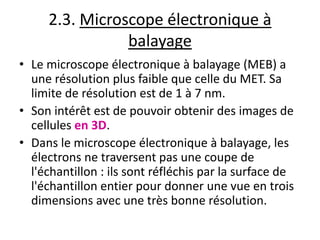 2.3. Microscope électronique à
balayage
• Le microscope électronique à balayage (MEB) a
une résolution plus faible que celle du MET. Sa
limite de résolution est de 1 à 7 nm.
• Son intérêt est de pouvoir obtenir des images de
cellules en 3D.
• Dans le microscope électronique à balayage, les
électrons ne traversent pas une coupe de
l'échantillon : ils sont réfléchis par la surface de
l'échantillon entier pour donner une vue en trois
dimensions avec une très bonne résolution.
 