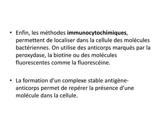 • Enfin, les méthodes immunocytochimiques,
permettent de localiser dans la cellule des molécules
bactériennes. On utilise des anticorps marqués par la
peroxydase, la biotine ou des molécules
fluorescentes comme la fluorescéine.
• La formation d’un complexe stable antigène-
anticorps permet de repérer la présence d’une
molécule dans la cellule.
 