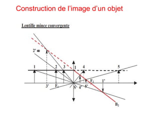 Construction de l’image d’un objet
 