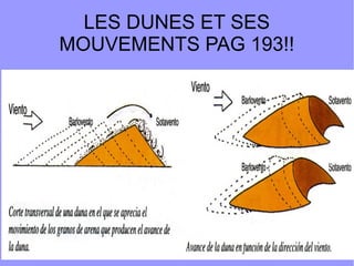 LES DUNES ET SES
MOUVEMENTS PAG 193!!

 
