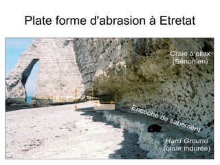 Plate forme d'abrasion à Etretat

 