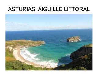 ASTURIAS. AIGUILLE LITTORAL

 