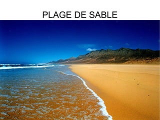 PLAGE DE SABLE

 