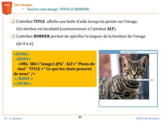 Pr . A. Zannou FST d’ Al-Hoceima
45
 L'attribut TITLE affiche une bulle d'aide lorsqu'on pointe sur l’image.
Cet attribut est facultatif (contrairement à l'attribut ALT).
 L'attribut BORDER permet de spécifier la largeur de la bordure de l'image
(de 0 à n).
Les images
• Insérer une image: TITLE et BORDER
<HTML>
<BODY>
<IMG SRC="image1.JPG" ALT=" Photo de
chat" TITLE =" Ce que les chats pensent
de nous" />
</BODY >
</HTML>
 