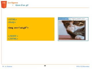 Pr . A. Zannou FST d’ Al-Hoceima
48
Les figures
• Ajout d’un gif
<HTML>
<Body>
<img src="cat.gif">
</BODY >
</HTML>
 