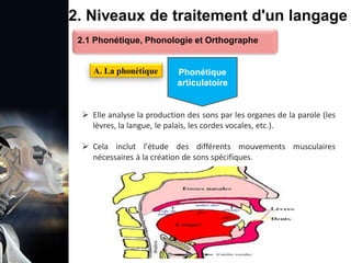 1. Définition et importance du TLN
 Le traitement du langage naturel (TLN) est un domaine
interdisciplinaire de l'intelligence artificielle (IA) et de la
linguistique informatique qui permet aux ordinateurs de:
Comprendre
Interpréter
Générer
 L'objectif est de faciliter l'interaction entre les machines et
les humains en utilisant un langage que nous
comprenons tous les jours.
le langage
humain sous une
forme utilisable
2. Niveaux de traitement d'un langage
2.1 Phonétique, Phonologie et Orthographe
A. La phonétique Phonétique
articulatoire
 Elle analyse la production des sons par les organes de la parole (les
lèvres, la langue, le palais, les cordes vocales, etc.).
 Cela inclut l'étude des différents mouvements musculaires
nécessaires à la création de sons spécifiques.
 