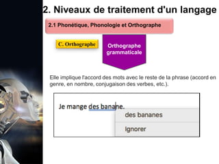 1. Définition et importance du TLN
 Le traitement du langage naturel (TLN) est un domaine
interdisciplinaire de l'intelligence artificielle (IA) et de la
linguistique informatique qui permet aux ordinateurs de:
Comprendre
Interpréter
Générer
 L'objectif est de faciliter l'interaction entre les machines et
les humains en utilisant un langage que nous
comprenons tous les jours.
le langage
humain sous une
forme utilisable
2. Niveaux de traitement d'un langage
Elle implique l'accord des mots avec le reste de la phrase (accord en
genre, en nombre, conjugaison des verbes, etc.).
2.1 Phonétique, Phonologie et Orthographe
C. Orthographe Orthographe
grammaticale
 