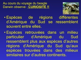 Au cours du voyage du beagle
Darwin observe : CURIOSITÉ !!

• Espèces
de
régions
différentes
d’Amérique du Sud se ressemblent
souvent entre elles.
• Espèces retrouvées dans un milieu
particulier
d’Amérique
du
Sud
ressemblent plus aux espèces d’autres
régions d’Amérique du Sud qu’aux
espèces trouvées dans des milieux
similaires sur d’autres continents.

 
