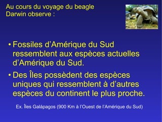 Au cours du voyage du beagle
Darwin observe :

• Fossiles d’Amérique du Sud
ressemblent aux espèces actuelles
d’Amérique du Sud.
• Des Îles possèdent des espèces
uniques qui ressemblent à d’autres
espèces du continent le plus proche.
Ex. Îles Galápagos (900 Km à l’Ouest de l’Amérique du Sud)

 