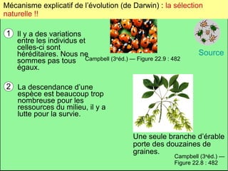 Mécanisme explicatif de l’évolution (de Darwin) : la sélection
naturelle !!

1 Il y a des variations

entre les individus et
celles-ci sont
héréditaires. Nous ne
e
sommes pas tous Campbell (3 éd.) — Figure 22.9 : 482
égaux.

Source

2 La descendance d’une

espèce est beaucoup trop
nombreuse pour les
ressources du milieu, il y a
lutte pour la survie.
Une seule branche d’érable
porte des douzaines de
graines.
e

Campbell (3 éd.) —
Figure 22.8 : 482

 