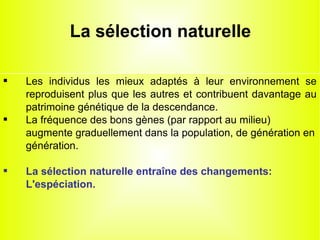 La sélection naturelle






Les individus les mieux adaptés à leur environnement se
reproduisent plus que les autres et contribuent davantage au
patrimoine génétique de la descendance.
La fréquence des bons gènes (par rapport au milieu)
augmente graduellement dans la population, de génération en
génération.
La sélection naturelle entraîne des changements:
L'espéciation.

 