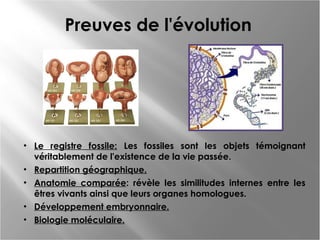 Preuves de l'évolution

• Le registre fossile: Les fossiles sont les objets témoignant
véritablement de l'existence de la vie passée.
• Repartition géographique.
• Anatomie comparée: révèle les similitudes internes entre les
êtres vivants ainsi que leurs organes homologues.
• Développement embryonnaire.
• Biologie moléculaire.

 