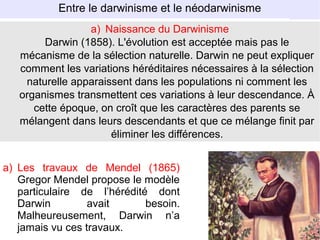 Entre le darwinisme et le néodarwinisme
a) Naissance du Darwinisme
Darwin (1858). L'évolution est acceptée mais pas le
mécanisme de la sélection naturelle. Darwin ne peut expliquer
comment les variations héréditaires nécessaires à la sélection
naturelle apparaissent dans les populations ni comment les
organismes transmettent ces variations à leur descendance. À
cette époque, on croît que les caractères des parents se
mélangent dans leurs descendants et que ce mélange finit par
éliminer les différences.
a) Les travaux de Mendel (1865)
Gregor Mendel propose le modèle
particulaire de l’hérédité dont
Darwin
avait
besoin.
Malheureusement, Darwin n’a
jamais vu ces travaux.

 