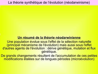 La théorie synthétique de l’évolution (néodarwinisme)
Élaborée en une quinzaine d’années (1930-1947)
Intègre la sélection darwinienne et l’hérédité mendélienne
Dite «synthétique de l’évolution» car elle amalgame de
nombreux domaines scientifiques : génétique des populations,
paléontologie, taxinomie et biogéographie.
Son grand apport : l’évolution se fait à l’échelle des populations
et non à celle de l’individu.
Un résumé de la théorie néodarwinienne
Une population évolue sous l'effet de la sélection naturelle
(principal mécanisme de l'évolution) mais aussi sous l'effet
d'autres agents de l'évolution : dérive génétique, mutation et flux
génétique.
De grands changements résultent de l'accumulation de ces petites
modifications étalées sur de longues périodes (microévolution)

 