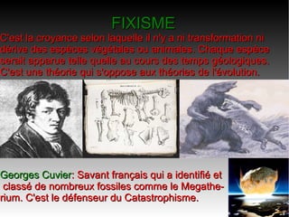 FIXISME

C'est la croyance selon laquelle il n'y a ni transformation ni
dérive des espèces végétales ou animales. Chaque espèce
serait apparue telle quelle au cours des temps géologiques.
C'est une théorie qui s'oppose aux théories de l'évolution.

Georges Cuvier: Savant français qui a identifié et
classé de nombreux fossiles comme le Megatherium. C'est le défenseur du Catastrophisme.

 