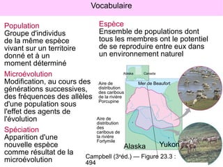 Vocabulaire
Espèce
Population
Ensemble de populations dont
Groupe d'individus
tous les membres ont le potentiel
de la même espèce
de se reproduire entre eux dans
vivant sur un territoire
un environnement naturel
donné et à un
moment déterminé
Alaska
Canada
Microévolution
Modification, au cours des Aire de
Mer de Beaufort
générations successives, distribution
des caribous
des fréquences des allèles de la rivière
Porcupine
d'une population sous
l'effet des agents de
Aire de
l'évolution
distribution
des
Spéciation
caribous de
la rivière
Apparition d'une
Fortymile
Yukon
nouvelle espèce
Alaska
comme résultat de la
Campbell (3eéd.) — Figure 23.3 :
microévolution
494

 
