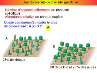 Une biodiversité ou diversité spécifique

Nombre d'espèces différentes ou richesse
spécifique
Abondance relative de chaque espèce.
Quelle communauté montre le plus
de biodiversité : A ou B ?
A
A
B

25% de chaque
80 % de l’un et 25 % des autres

 