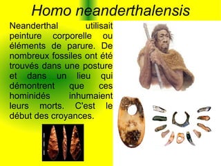 Homo neanderthalensis
Neanderthal
utilisait
peinture corporelle ou
éléments de parure. De
nombreux fossiles ont été
trouvés dans une posture
et dans un lieu qui
démontrent
que
ces
hominidés
inhumaient
leurs morts. C'est le
début des croyances.

 
