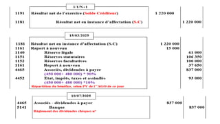 Chapitre 2 : l'affectation du résultat.pptx