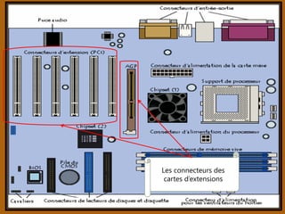 Les connecteurs des
cartes d’extensions
 