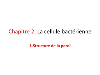 Chapitre 2: La cellule bactérienne
1.Structure de la paroi
 
