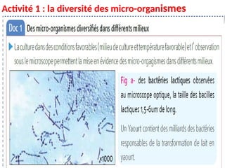 Chapitre 3 les microbes Maroc 3AC SVT.pptx