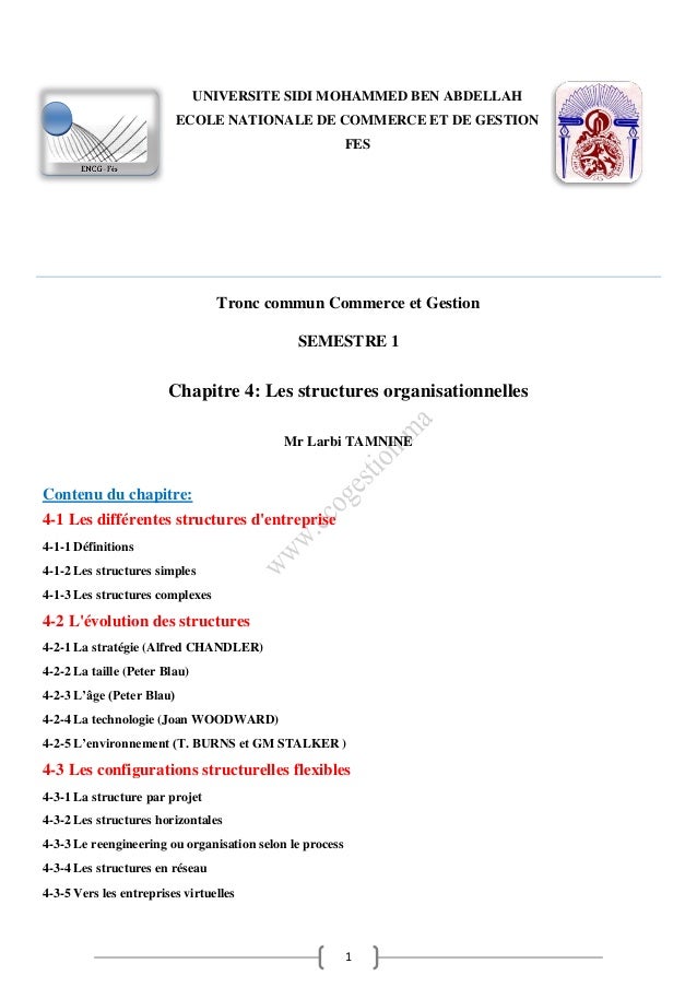1
Tronc commun Commerce et Gestion
SEMESTRE 1
Chapitre 4: Les structures organisationnelles
Mr Larbi TAMNINE
Contenu du ch...