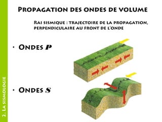 Propagation des ondes de volume
Rai sismique : trajectoire de la propagation,
perpendiculaire au front de l’onde

2. La sismologie

• Ondes P

• Ondes S

 