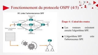 Étape 4 : Calcul des routes
▪ Les routeurs exécutent
ensuite l'algorithme SPF.
▪ L'algorithme SPF crée
l'arborescence SPF.
Fonctionnement du protocole OSPF (4/5)
 