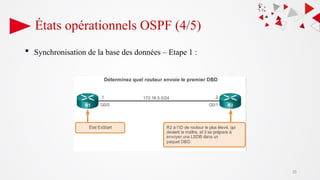 35
États opérationnels OSPF (4/5)
 Synchronisation de la base des données – Etape 1 :
 
