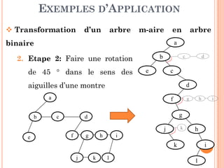 EXEMPLES D’APPLICATION
2. Etape 2: Faire une rotation
de 45 ° dans le sens des
aiguilles d’une montre
a
b
e
c d
c
d
Transformation d’un arbre m-aire en arbre
binaire
217
aiguilles d’une montre
a
b c d
e f g h i
j k l
f
j k
l
d
g
h
i
g h i
k
 