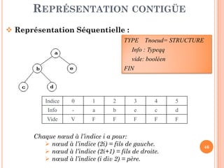 REPRÉSENTATION CONTIGÜE
Représentation Séquentielle :
TYPE Tnoeud= STRUCTURE
Info : Typeqq
vide: booléen
FIN
46
Indice 0 1 2 3 4 5
Info - a b e c d
Vide V F F F F F
Chaque nœud à l’indice i a pour:
nœud à l’indice (2i) = fils de gauche.
nœud à l’indice (2i+1) = fils de droite.
nœud à l’indice (i div 2) = père.
 