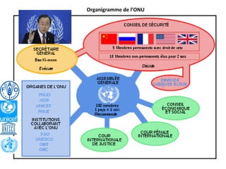 Organigramme de l’ONU
 
