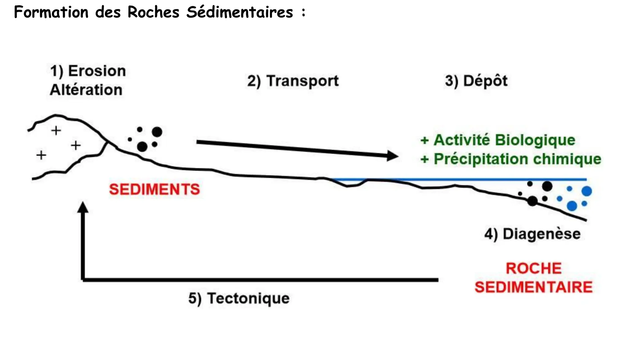 33
Introduction
Formation des Roches Sédimentaires :
 