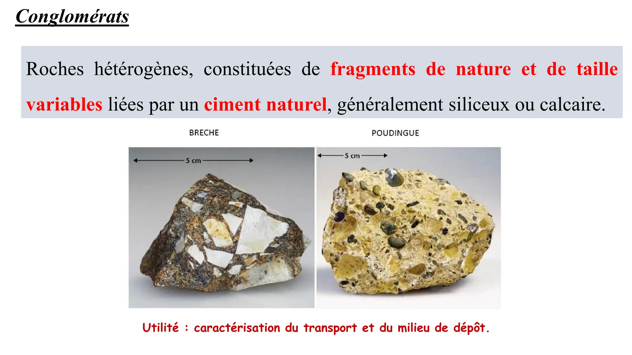 14/03/2022
38
Classification des roches sédimentaires
Conglomérats
Roches hétérogènes, constituées de fragments de nature et de taille
variables liées par un ciment naturel, généralement siliceux ou calcaire.
Utilité : caractérisation du transport et du milieu de dépôt.
 