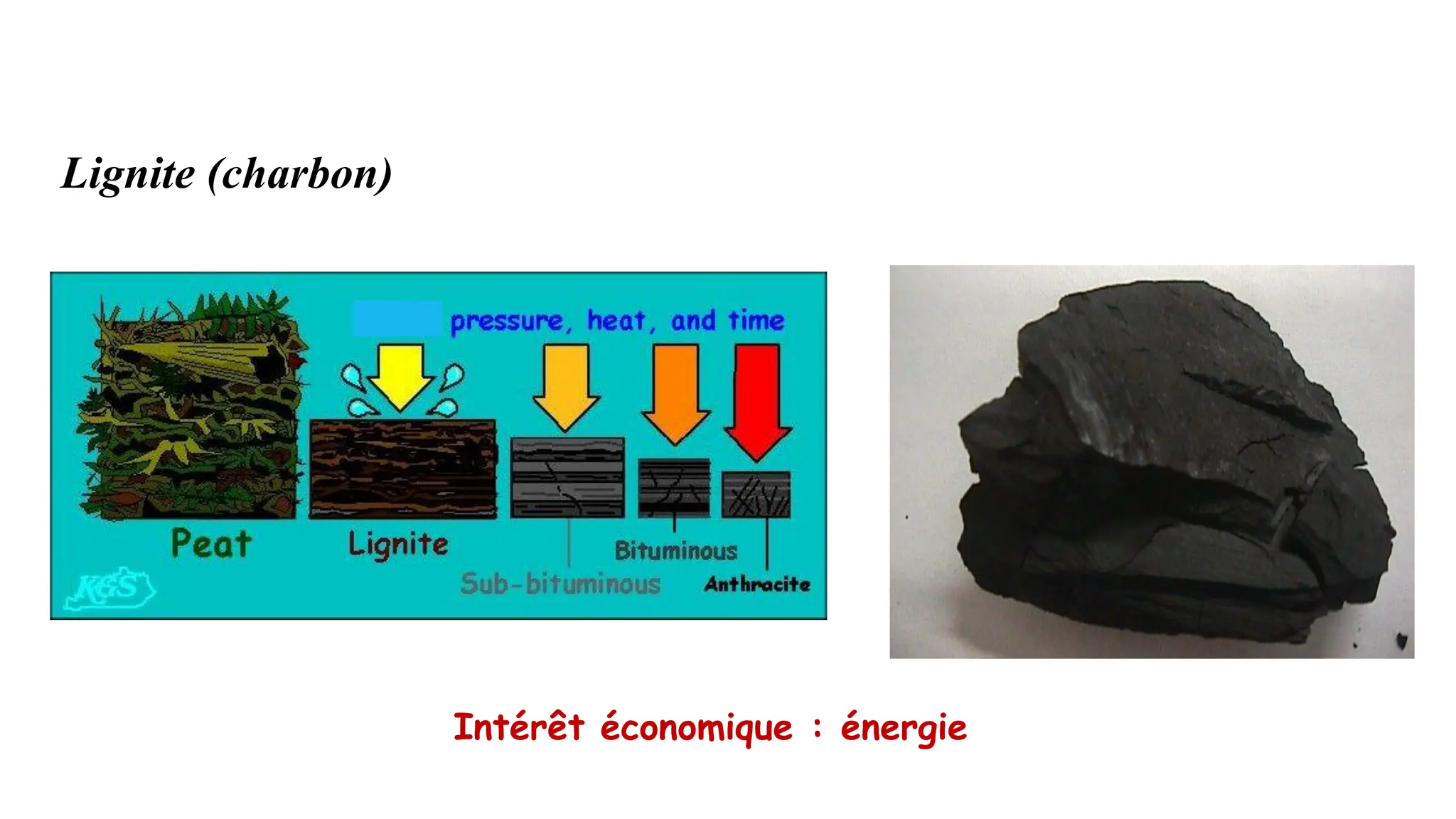 40
Classification des roches sédimentaires
Lignite (charbon)
Intérêt économique : énergie
 